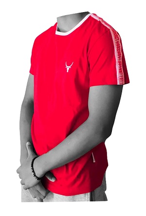 tee shirt pour HOMME couleur rouge taille L 